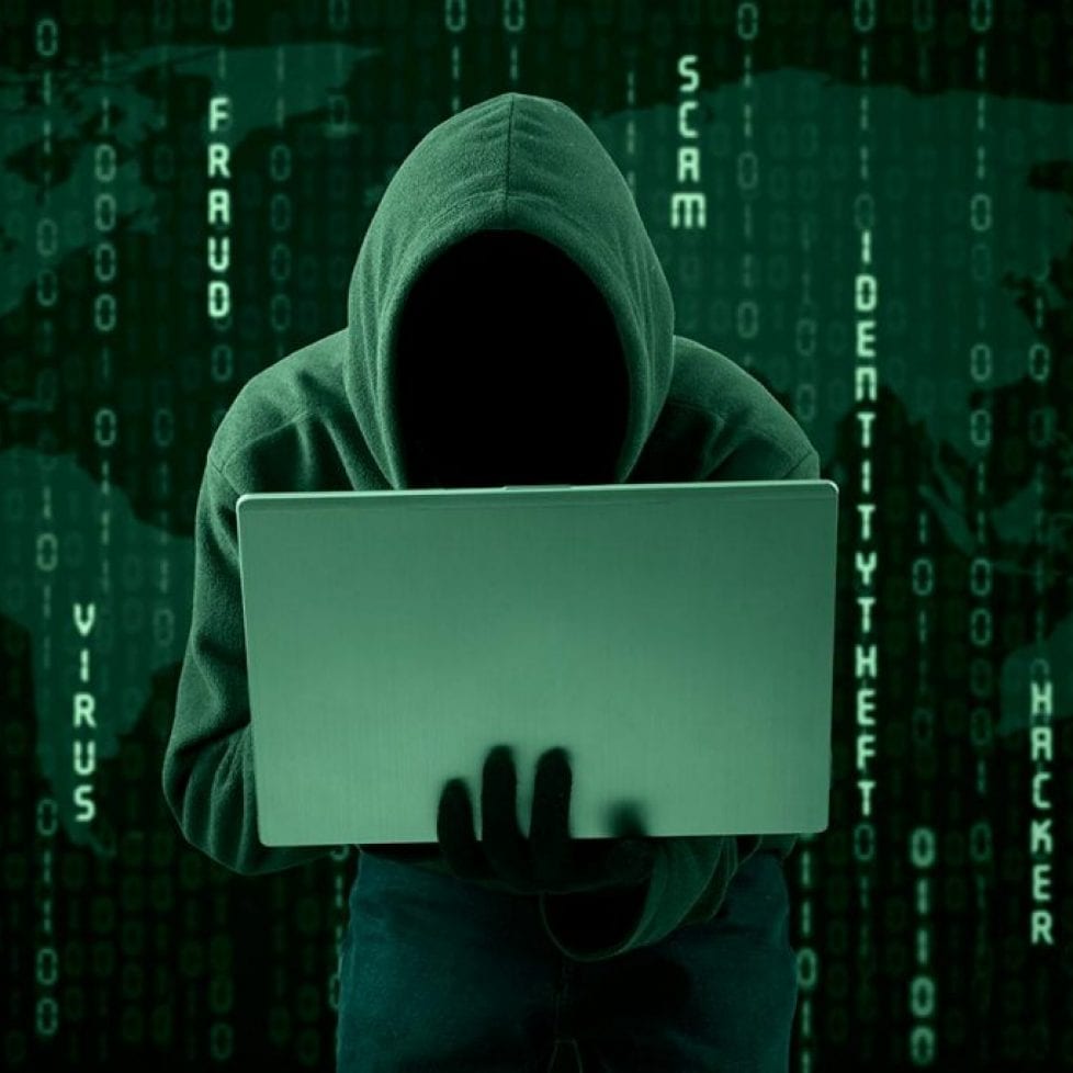 Computer Software Service fraud