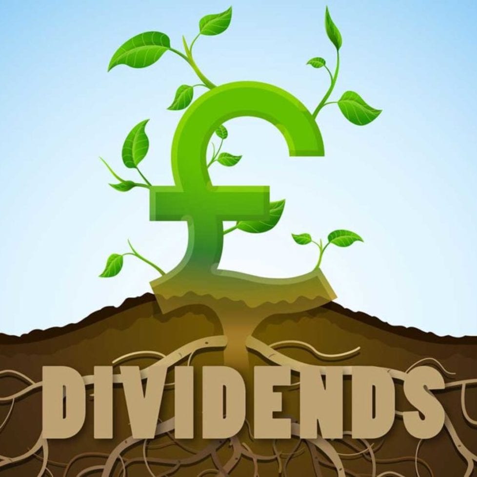 dividends