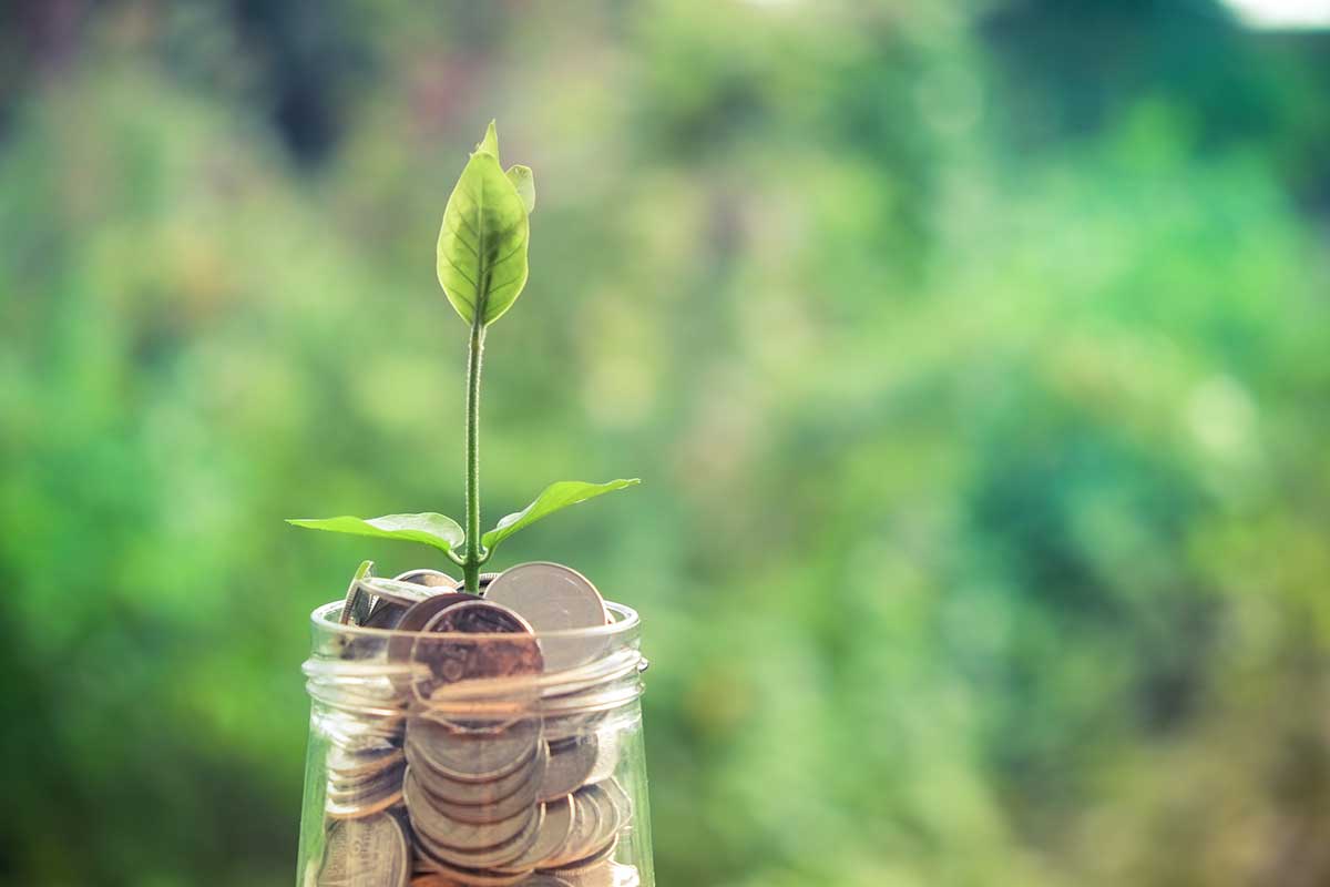 National-Savings-goes-green